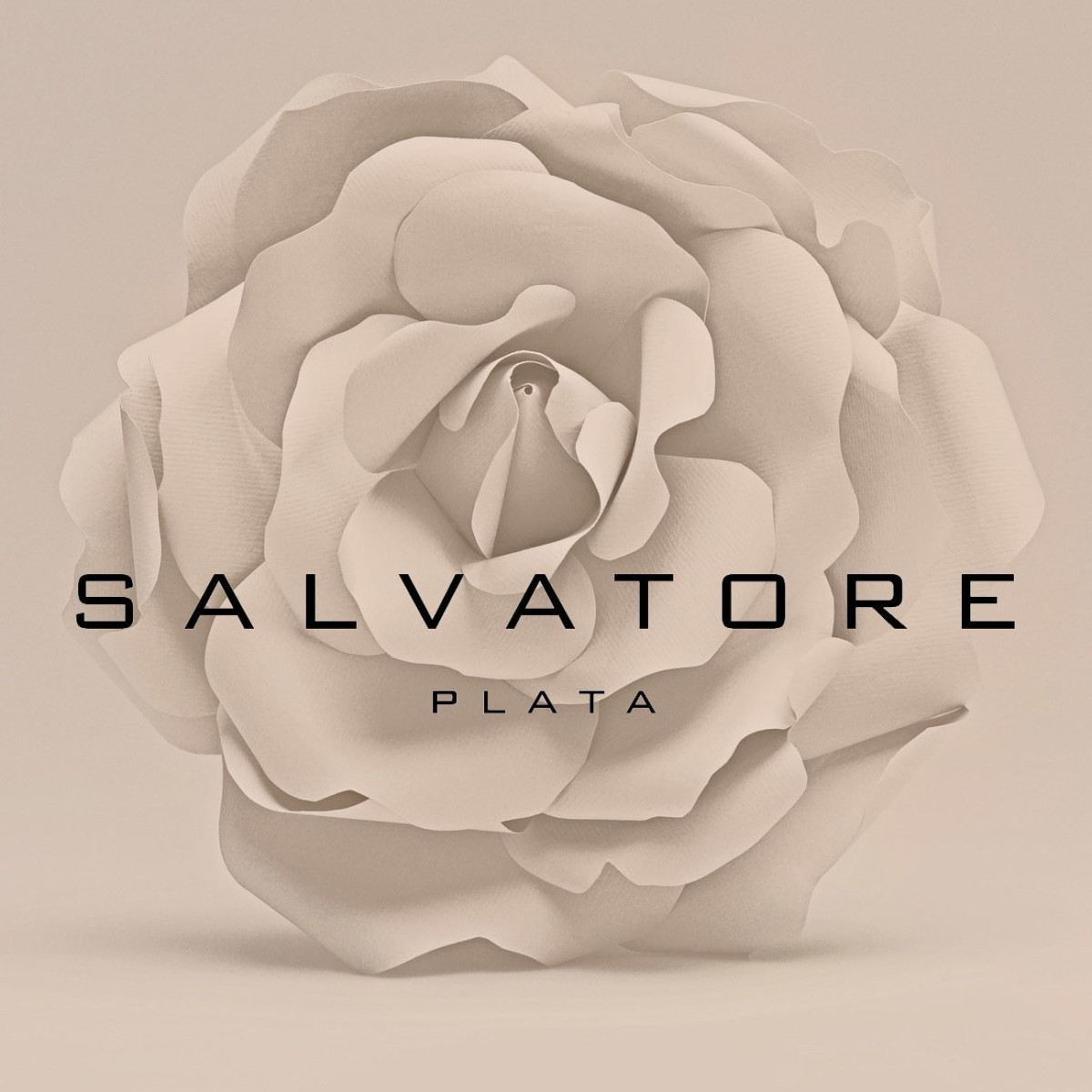 Anillo Mujer Salvatore Plata Circonitas 12 - 000230243